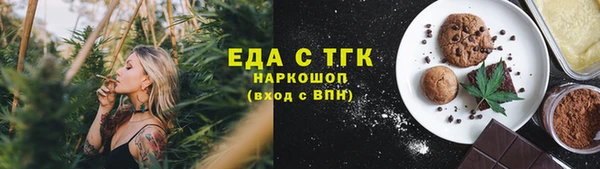 индика Арсеньев