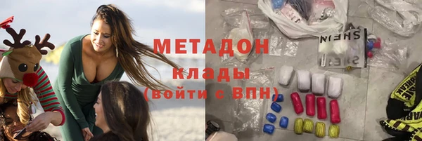 индика Арсеньев
