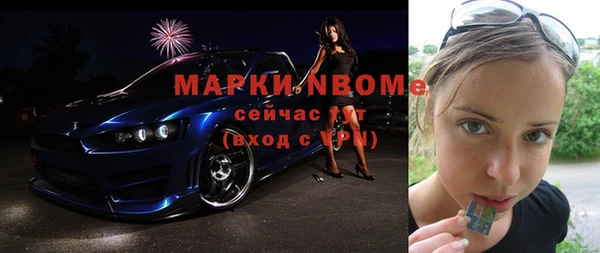индика Арсеньев