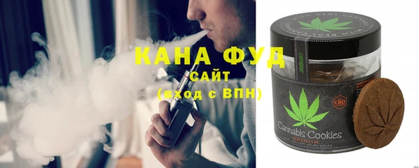 индика Арсеньев