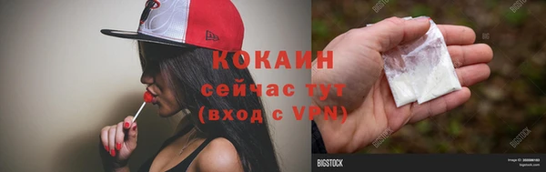индика Арсеньев