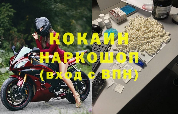 индика Арсеньев